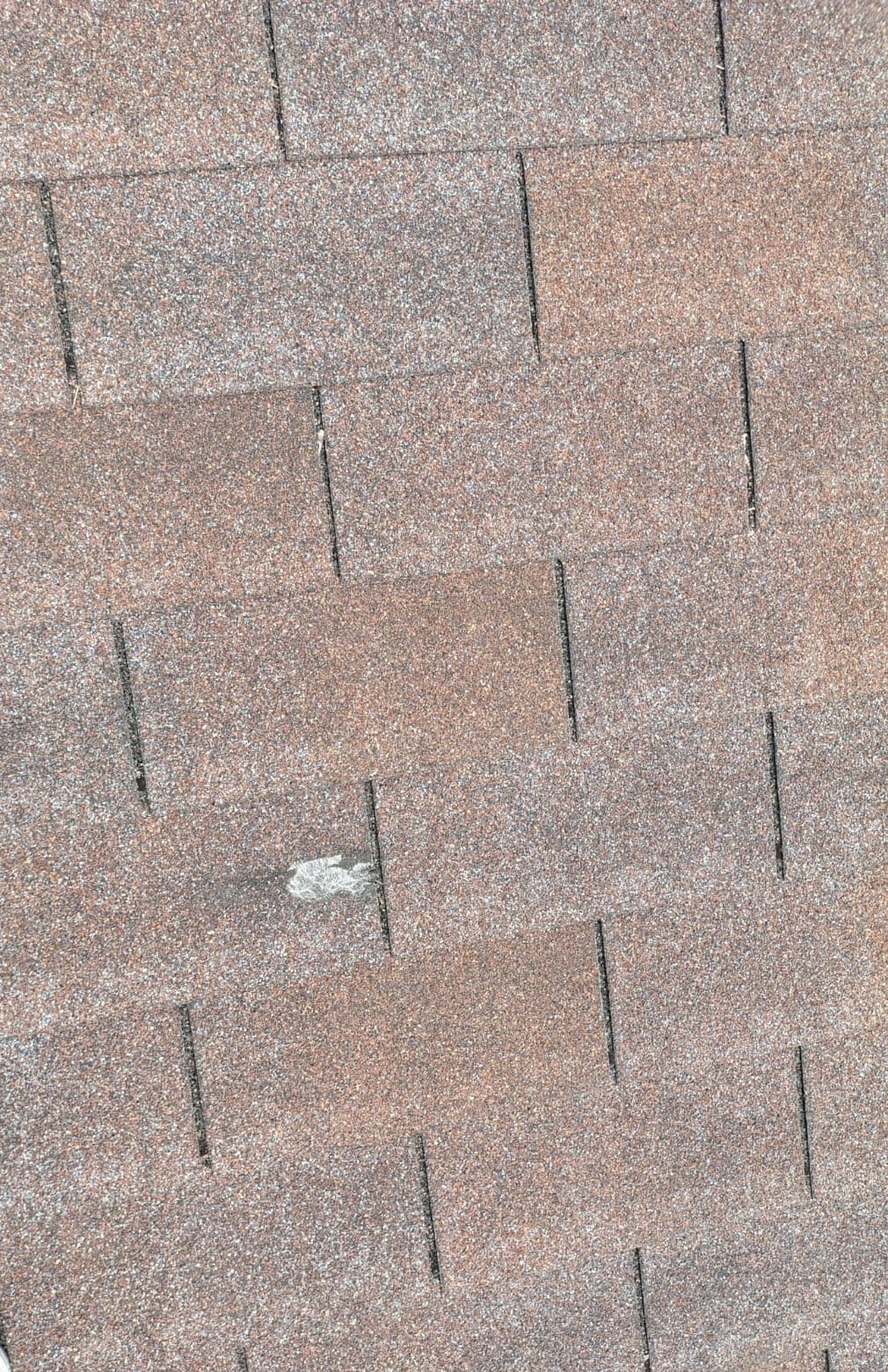 Close-up of dry, faded asphalt shingles with a chalky granular surface.